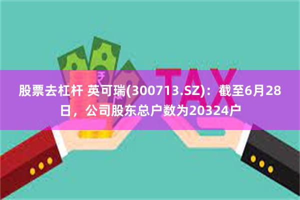 股票去杠杆 英可瑞(300713.SZ)：截至6月28日，公司股东总户数为20324户