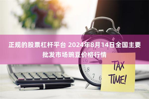 正规的股票杠杆平台 2024年8月14日全国主要批发市场豌豆价格行情