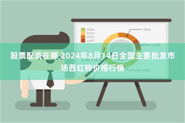 股票配资在哪 2024年8月14日全国主要批发市场西红柿价格行情