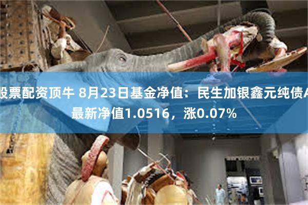 股票配资顶牛 8月23日基金净值：民生加银鑫元纯债A最新净值1.0516，涨0.07%