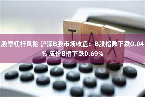 股票杠杆风险 沪深B股市场收盘：B股指数下跌0.04% 成份B指下跌0.69%