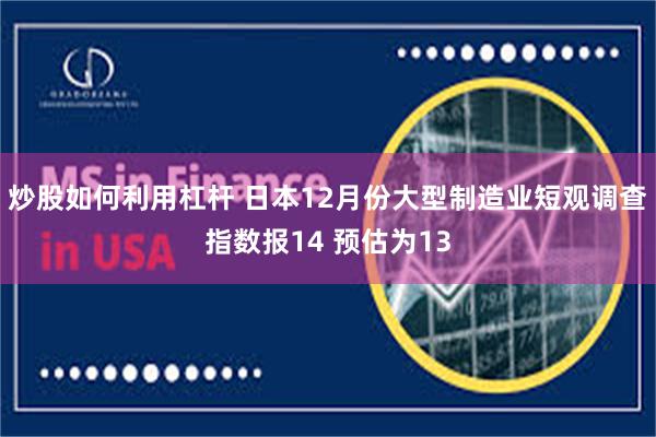 炒股如何利用杠杆 日本12月份大型制造业短观调查指数报14 预估为13