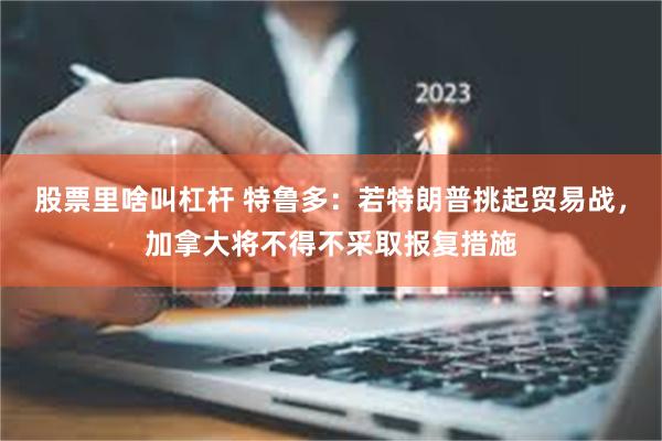 股票里啥叫杠杆 特鲁多：若特朗普挑起贸易战，加拿大将不得不采取报复措施