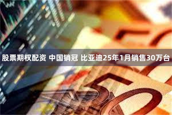 股票期权配资 中国销冠 比亚迪25年1月销售30万台