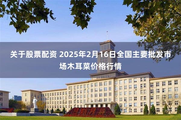 关于股票配资 2025年2月16日全国主要批发市场木耳菜价格行情