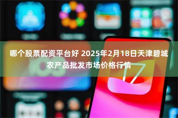 哪个股票配资平台好 2025年2月18日天津碧城农产品批发市场价格行情