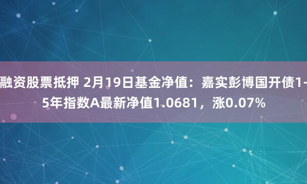 融资股票抵押 2月19日基金净值：嘉实彭博国开债1-5年指数A最新净值1.0681，涨0.07%