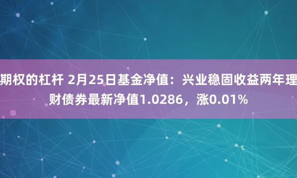 期权的杠杆 2月25日基金净值：兴业稳固收益两年理财债券最新净值1.0286，涨0.01%