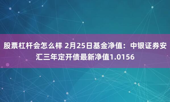 股票杠杆会怎么样 2月25日基金净值：中银证券安汇三年定开债最新净值1.0156