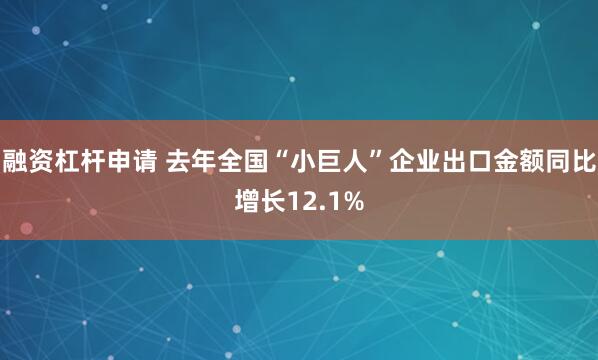 融资杠杆申请 去年全国“小巨人”企业出口金额同比增长12.1%